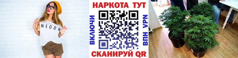 Магазин наркотиков Могоча Гашиш Канабис Cocaine Меф мяу мяу